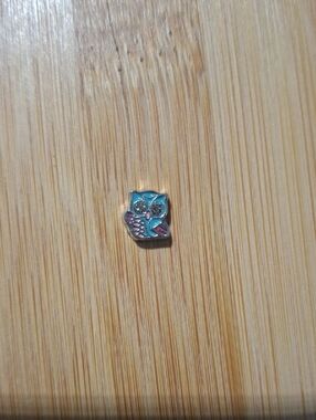 Turquoise and Pink Owl Floating Locket Charm